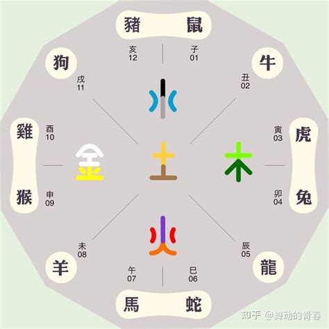 五行顏色生肖|五行命理！12生肖的幸運數字和顏色